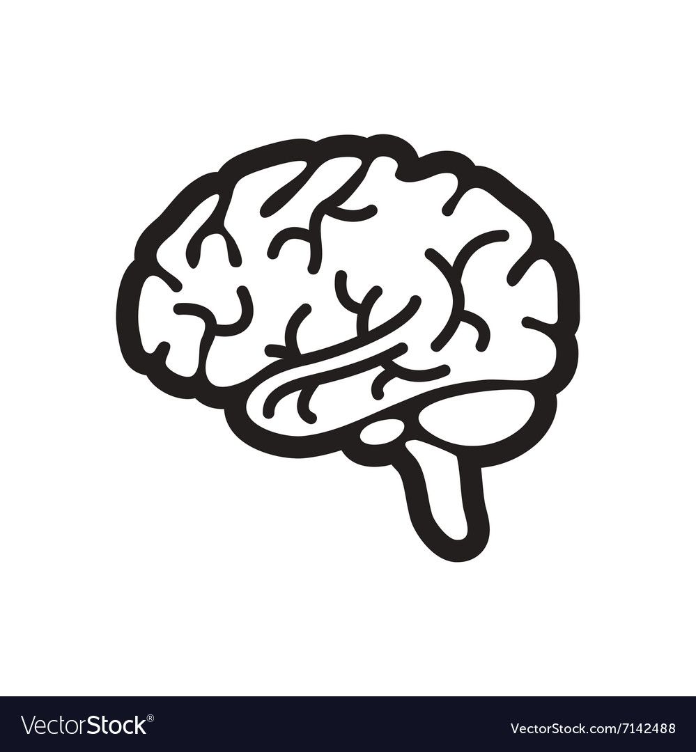 999x1080 Brain Vector Art Brain Tattoo, Brain Art, Brain