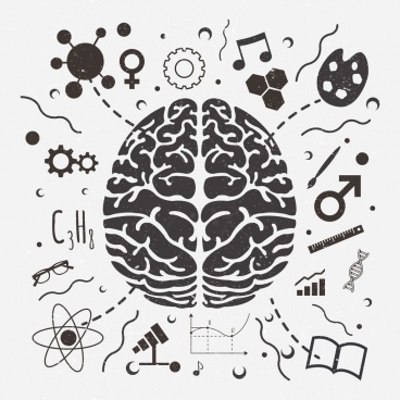 368x368 Brain Free Vector Download