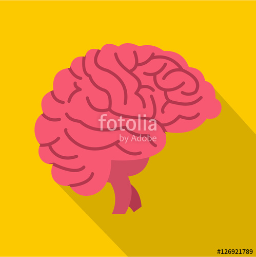 499x500 Bran Flat Illustration Of Brain Vector Icon For Web Stock