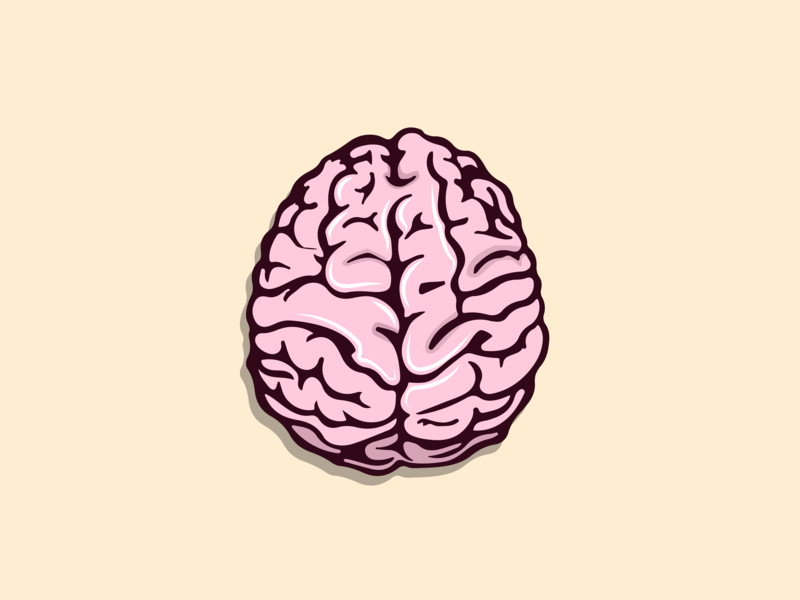 800x600 Brain Illustration