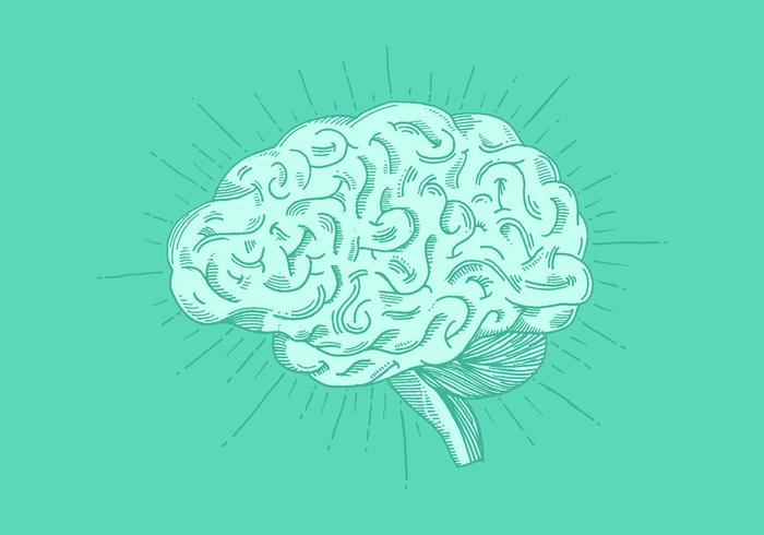 700x490 Bright Hand Drawn Brain Vector