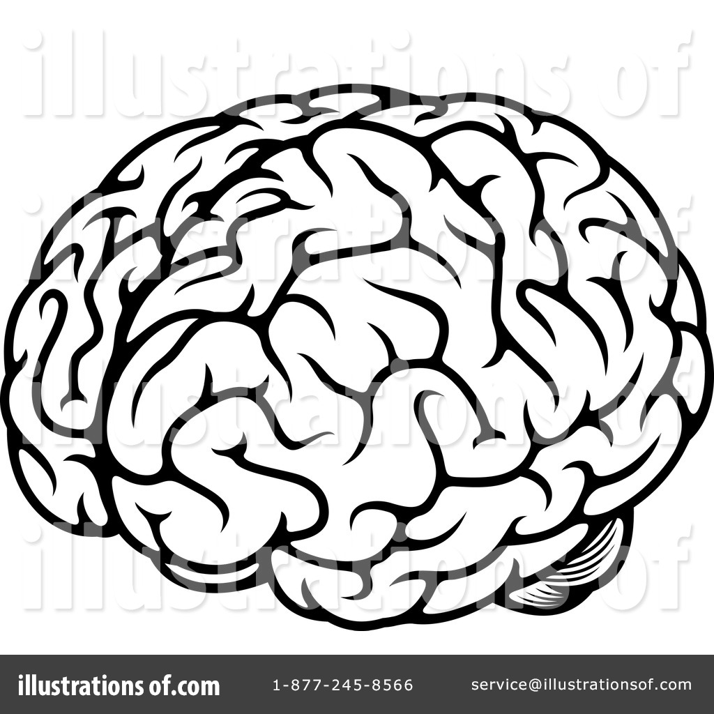 1024x1024 Brain Clipart
