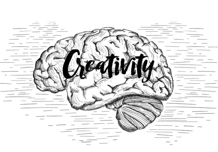 700x490 Brain Free Vector Art