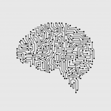 360x360 Brain Png, Vector, And Clipart With Transparent Background