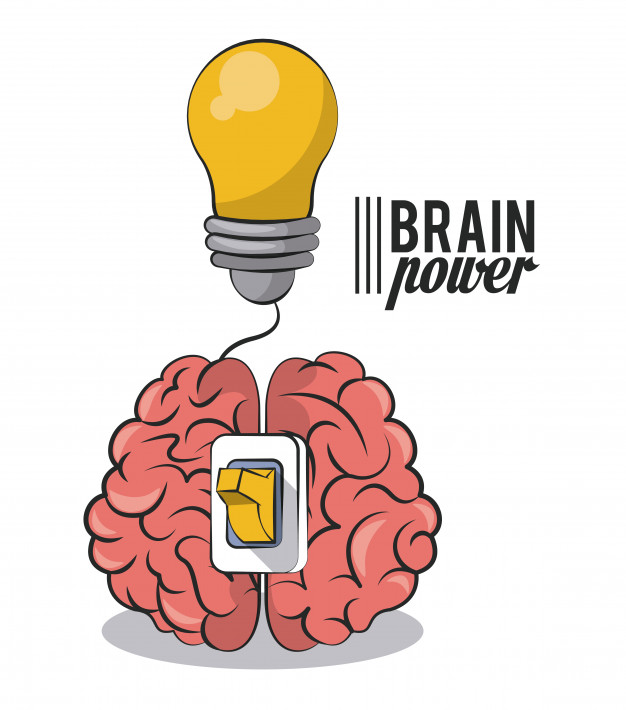 Brain Power With Light Bulb Vector Premium Download 626x710 Brain Power With Light Bulb Vector Premium Download