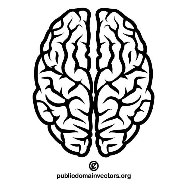 Brain Vector Image 660x660 Brain Vector Image