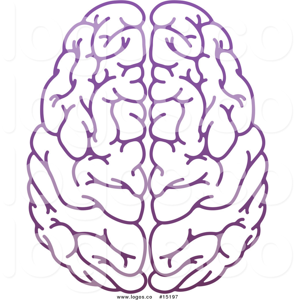 Royalty Free Vector Logo Of A Human's Brain 1024x1044 Royalty Free Vector Logo Of A Human's Brain