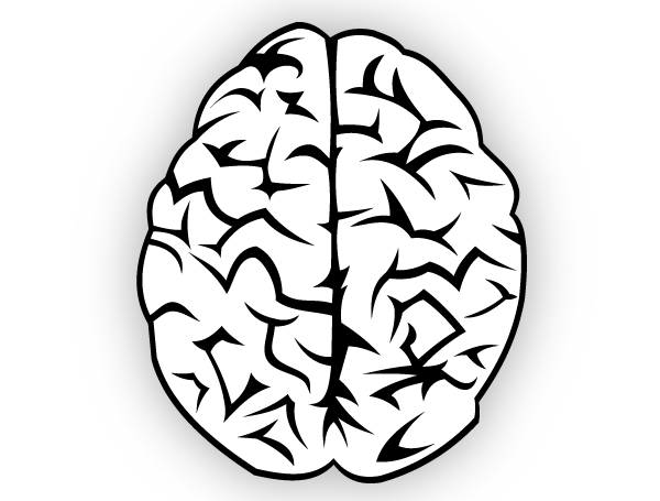 600x455 Brain Vector Free