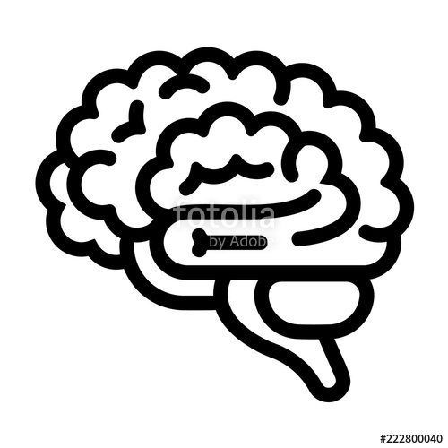 500x500 Bran Outline Brain Vector Icon For Web Design Isolated