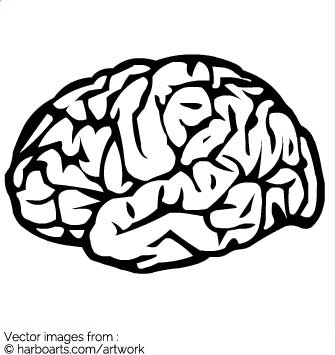 335x355 Download Brain Outline
