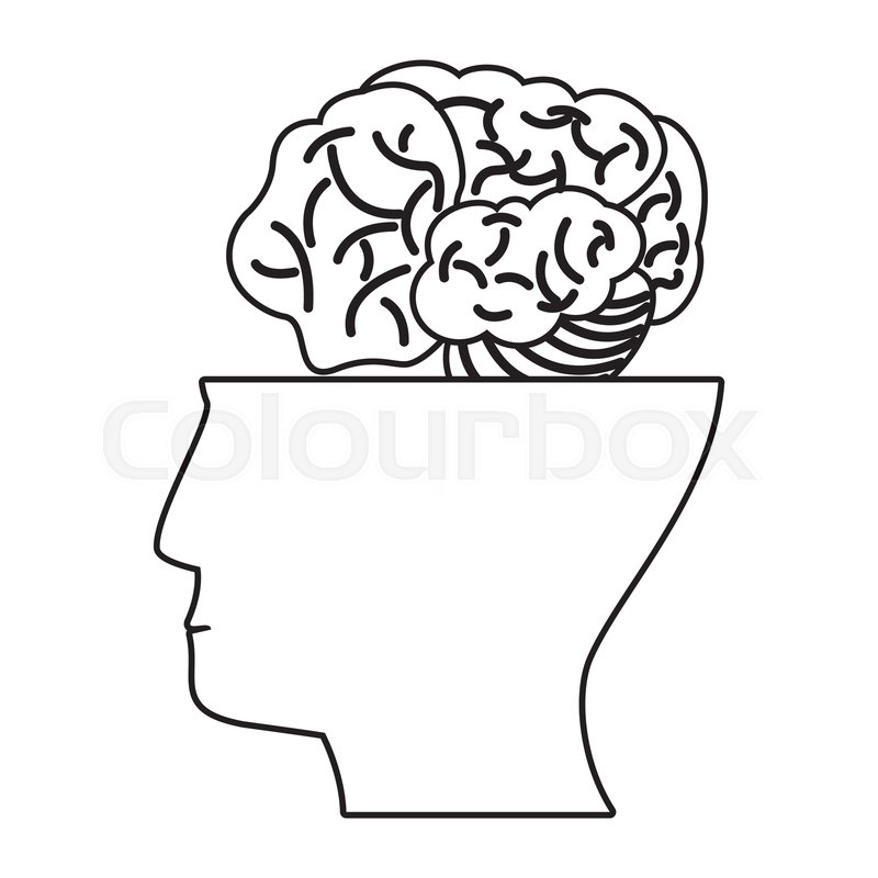 800x800 Human Head Brain Think Outline Vector Stock Vector Colourbox