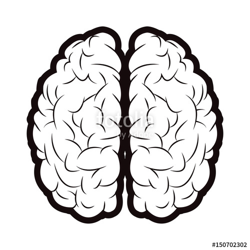 500x500 Brain Mind Idea Creativity Memory Outline Vector Illustration