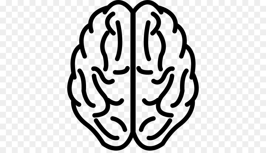 900x520 Brain Outline