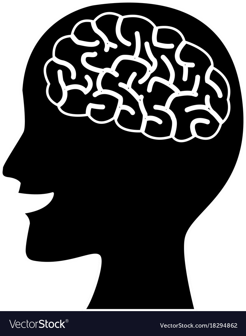793x1080 Huge Collection Of 'brain Silhouette' Download More Than