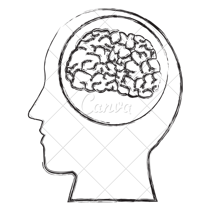800x800 Human Brain Silhouette Vector Icon Illustration