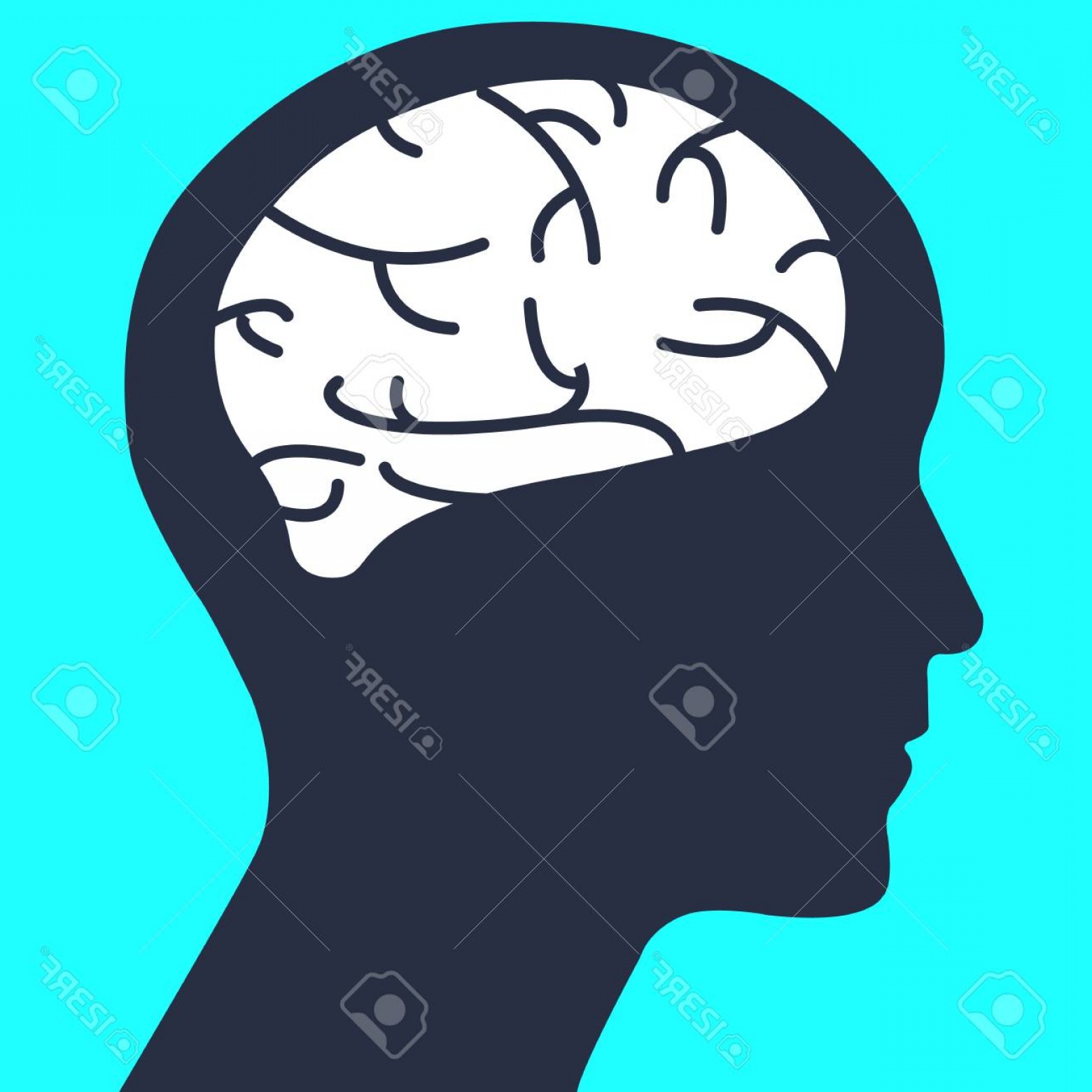 1560x1560 Photostock Vector Silhouette Human Head With Simple Brain Vector