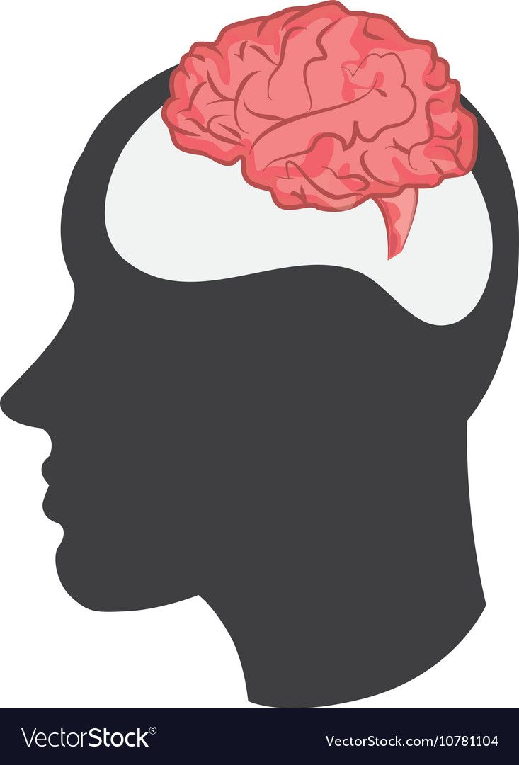 733x1080 Brain Silhouette, Vector Free, Profile