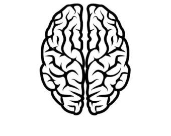 340x270 T Rex Skull Dinosaur Fossil