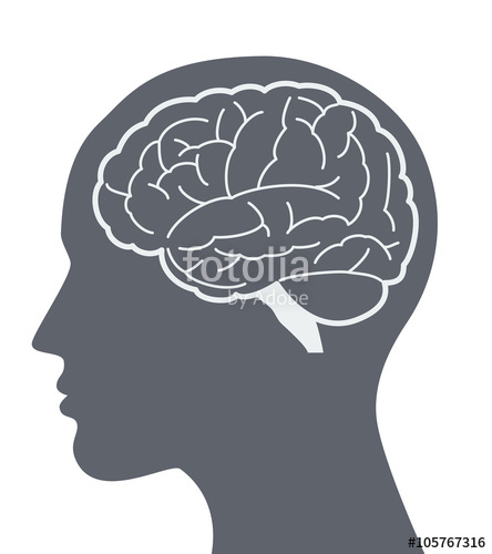 444x500 Vector Brain Silhouette Illustration With Woman Face Profile