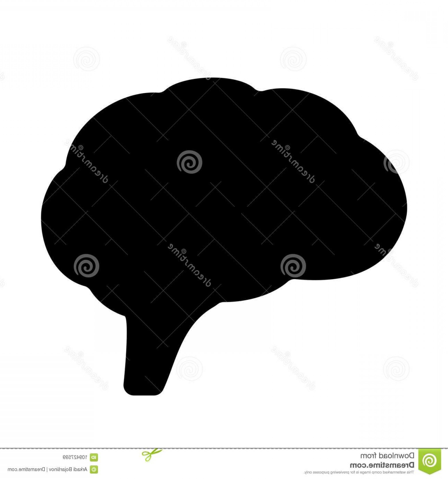 1560x1668 Brain Vector Silhouette Catchsplace