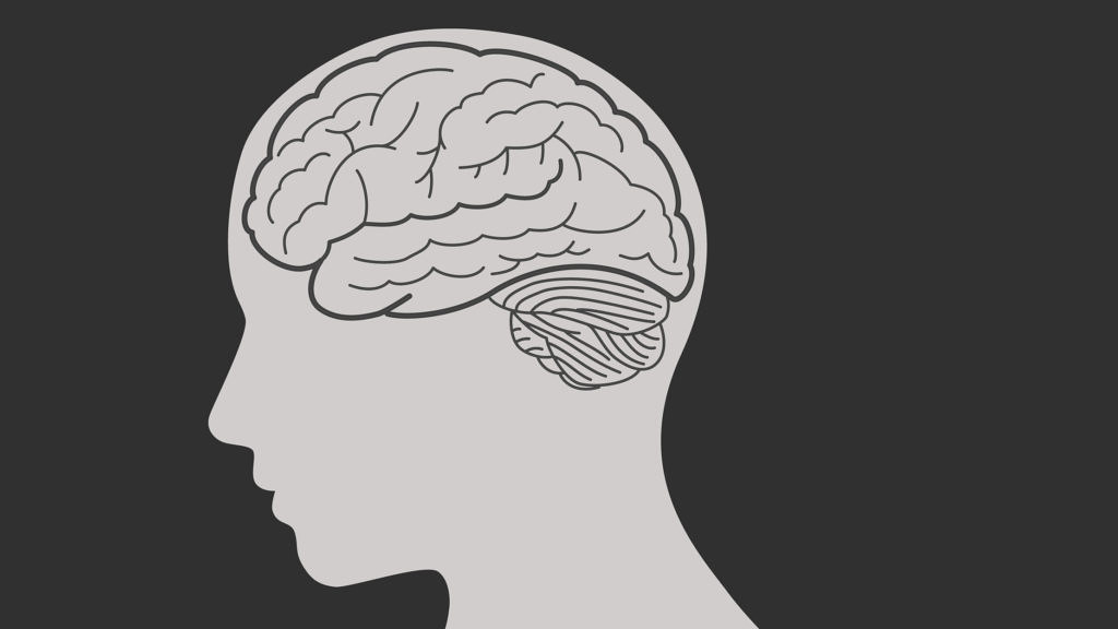 1024x576 Brain And Woman Face Silhouette Vector Illustration