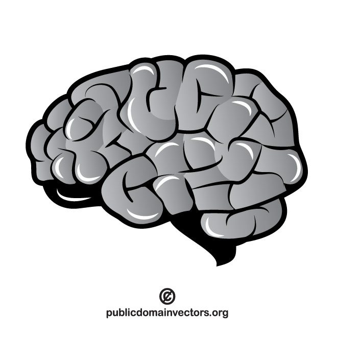 660x660 Brain Vector Clip Art