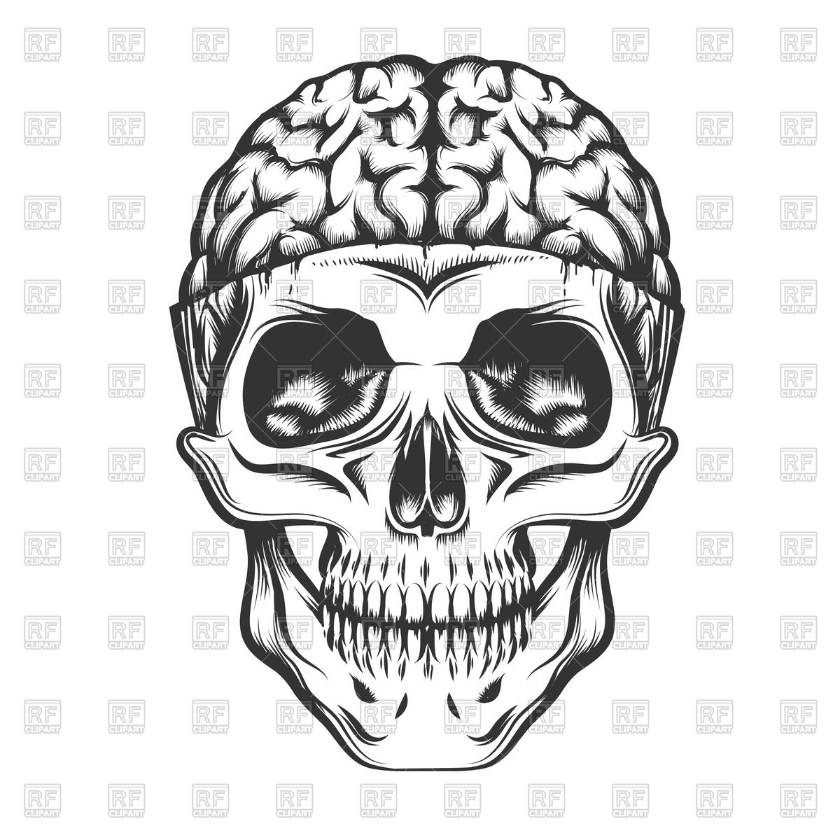 1200x1200 Human Skull With Open Brain Vector Image Of Conceptual