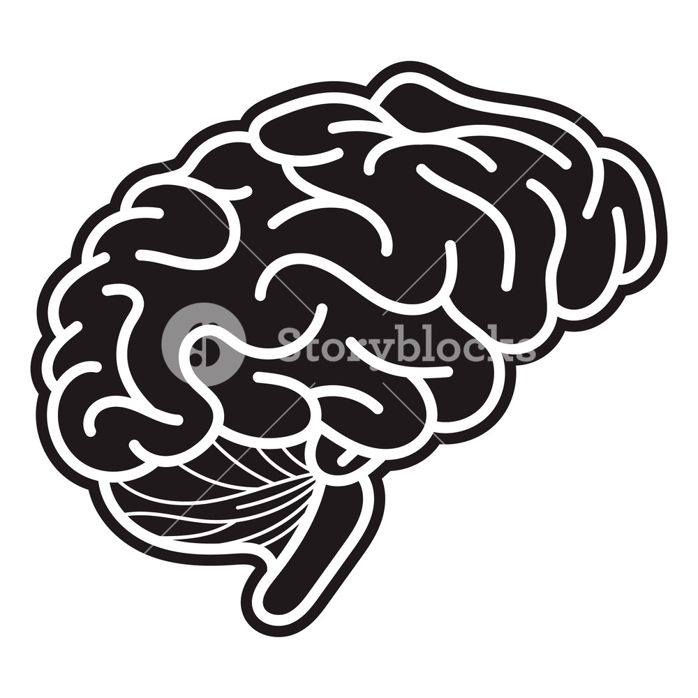 1000x1000 Human Bran Simple Illustration Of Human Brain Vector Icon