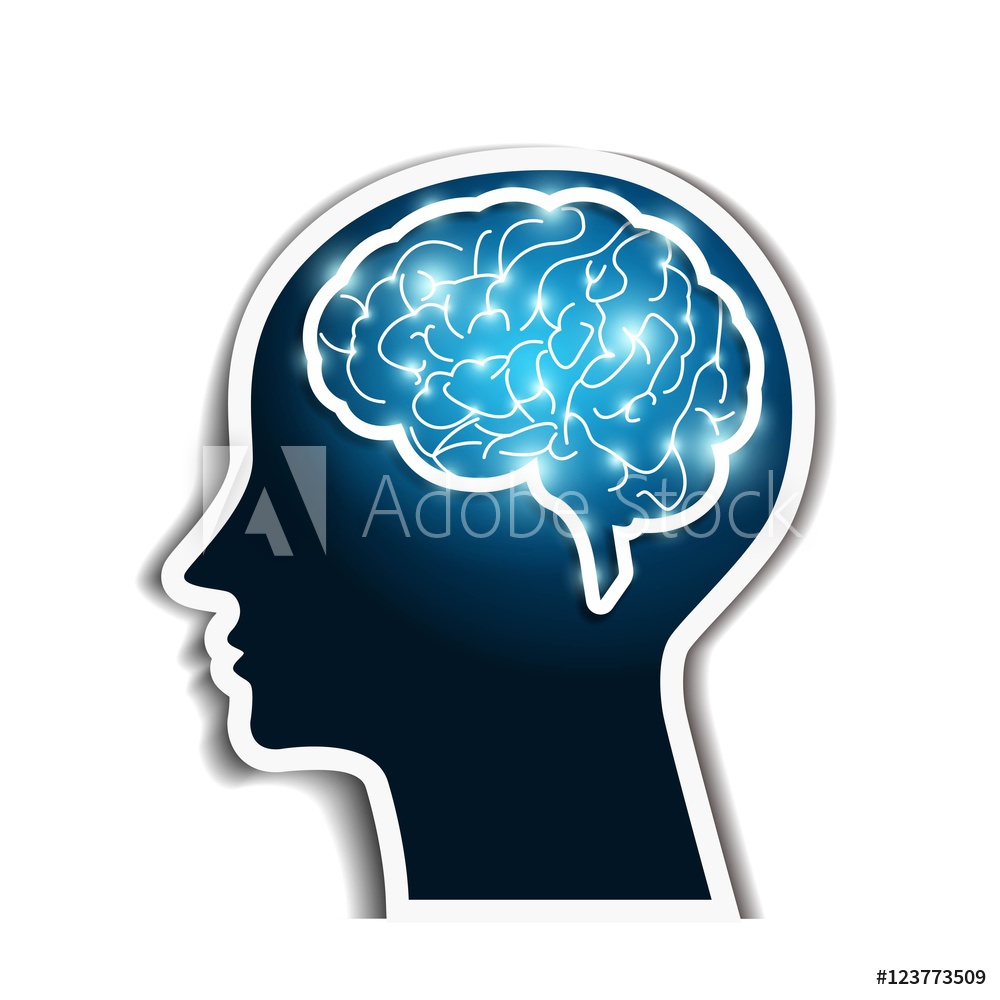 1000x1000 Photo Art Print Human Brain Vector Europosters