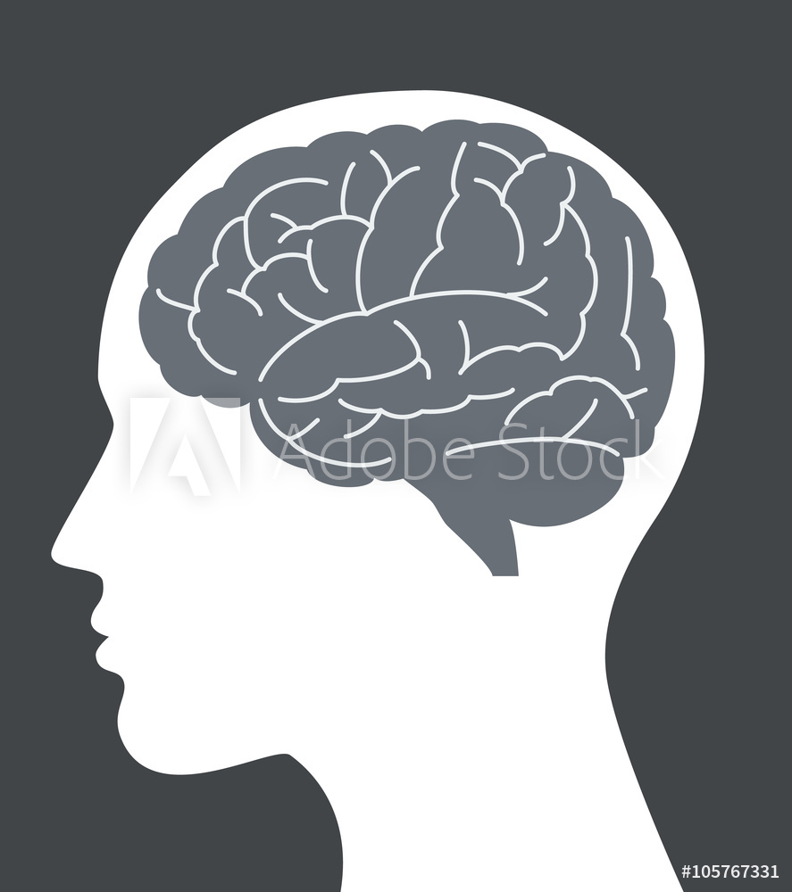 887x1000 Photo Art Print Human Brain Vector Illustration With Face