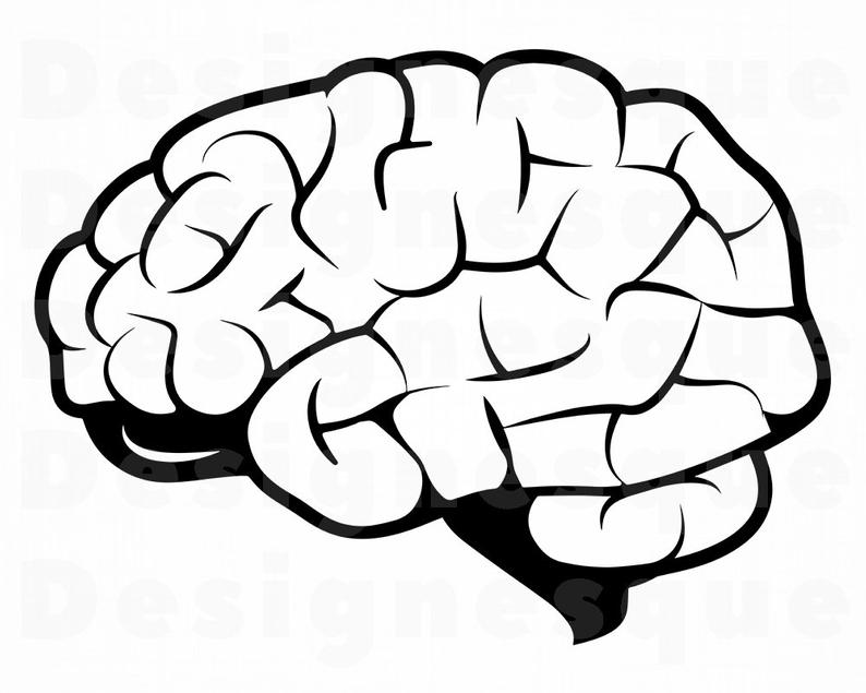 794x635 Brain Bra Brain Clipart Brain For Etsy