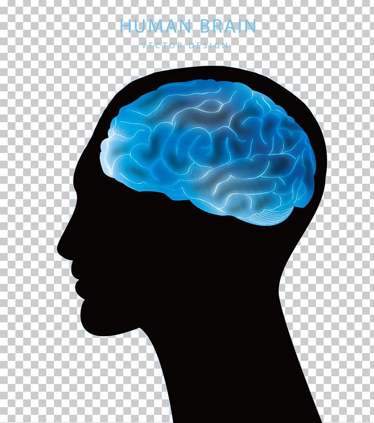 Blue Brain Project Agy Euclidean Png, Clipart, Avatar, Brain 728x824 Blue Brain Project Agy Euclidean Png, Clipart, Avatar, Brain