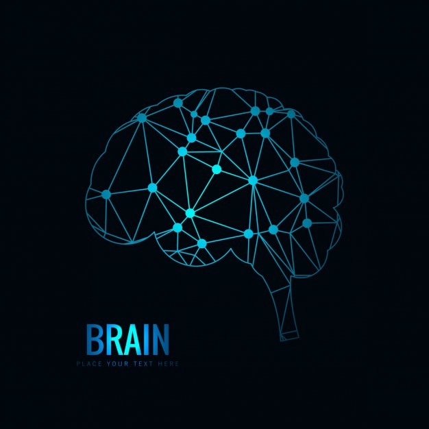Images Of Brain Vector 626x626 Images Of Brain Vector