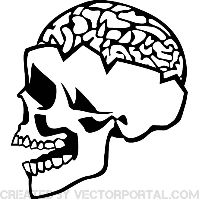 Skull And Brain Vector 660x660 Skull And Brain Vector