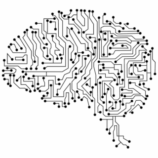 Brain Vector Png 320x320 Brain Vector Png