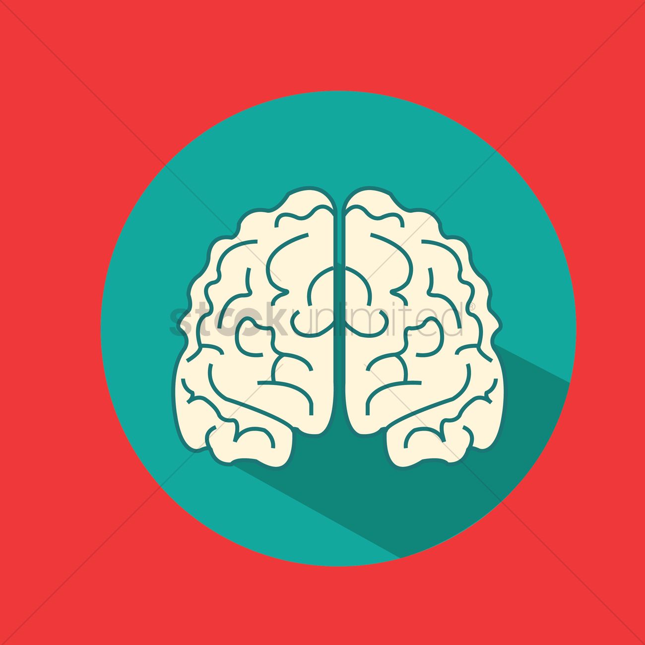 1300x1300 Free Front View Of Brain Vector Image