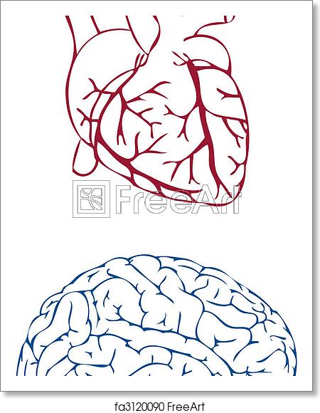450x580 Free Art Print Of Heart And Brain, Vector Heart And Brain, Vector