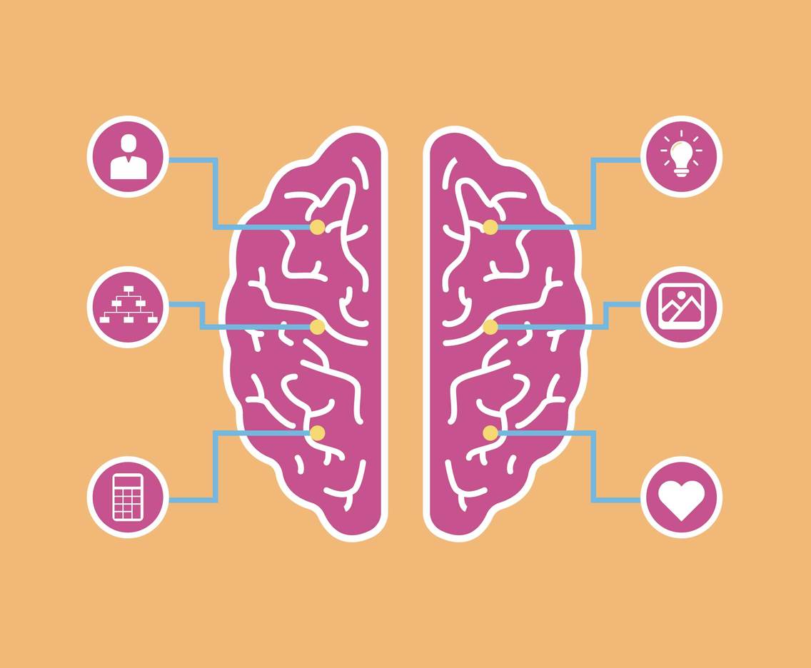 1136x936 Hemispheres Of Human Brain Vector Vector Art Graphics