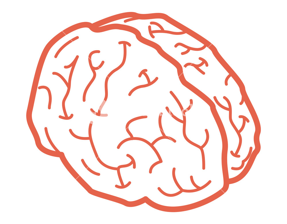 1000x783 Line Bran Isometric Of Line Brain Vector Icon For Web