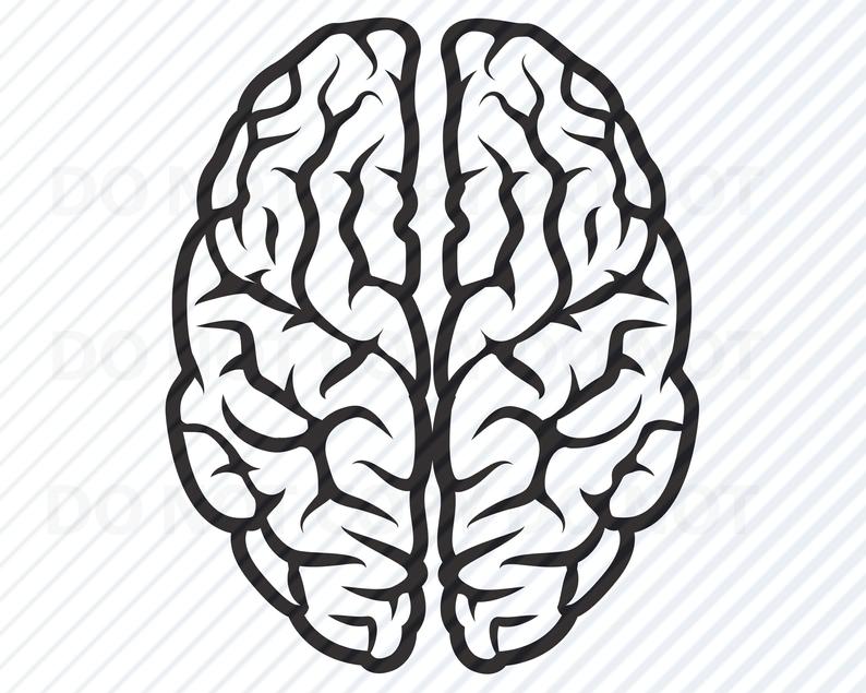 794x635 Bra For Cricut Brians Vector Images Clipart Etsy