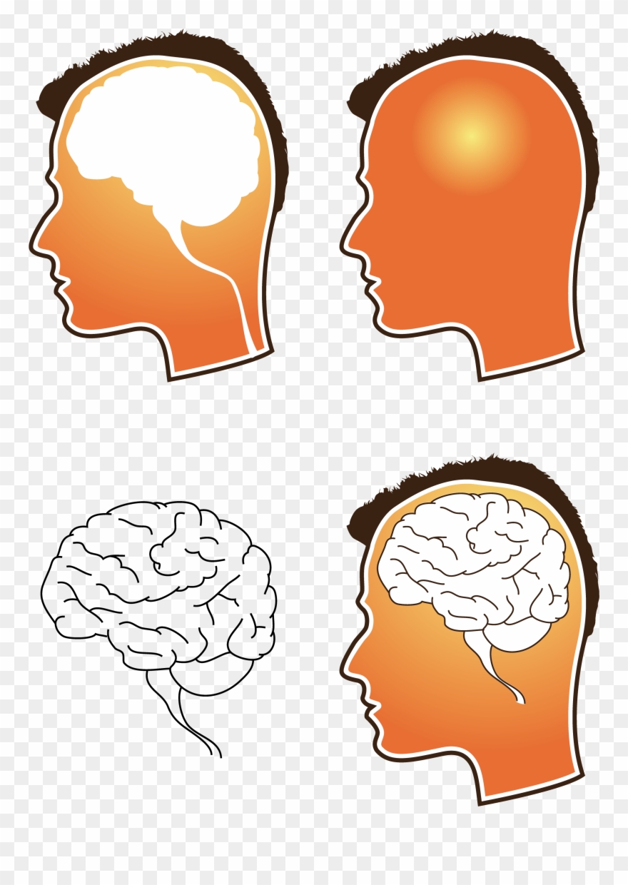 880x1240 Free Vector Human Brain Vector