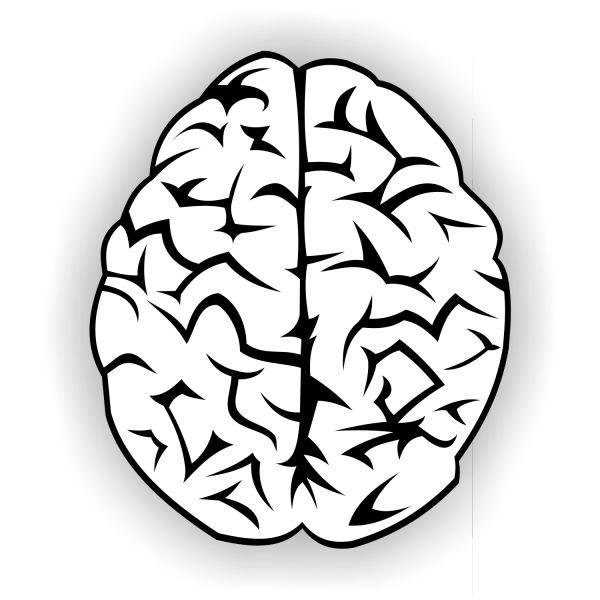 600x600 Free Vectors Brain Vector Free Free Vector