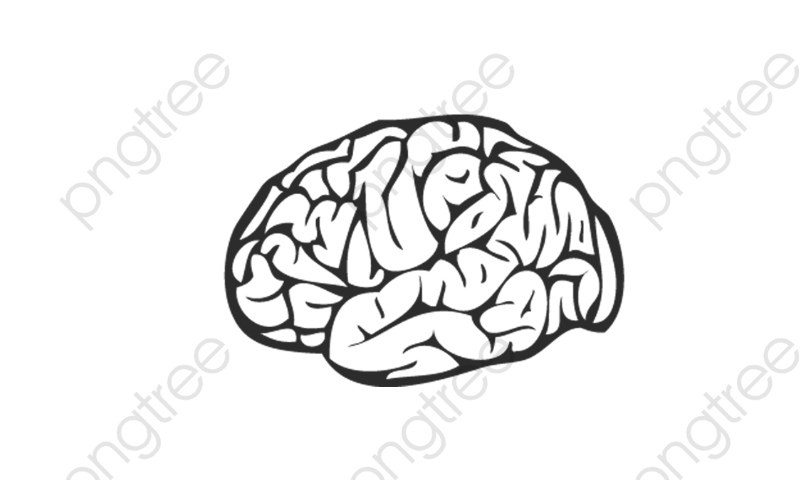 1125x675 Black And White Brain Vector, Black And White, Brain, Head Png