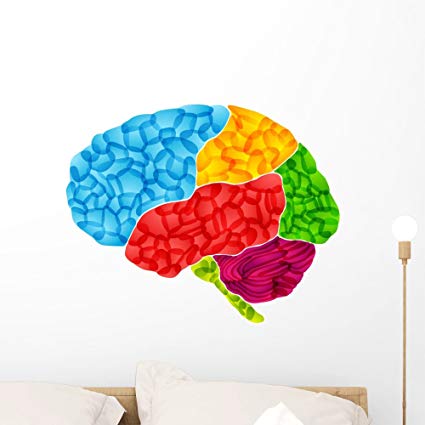 Brain Vector Graphic