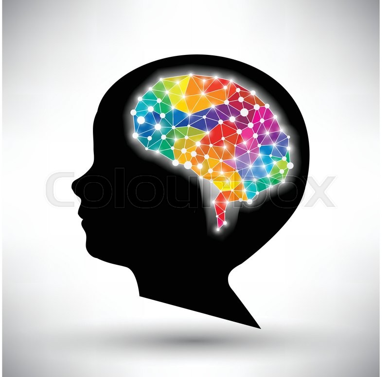800x776 Colorful Concept Of The Human Brain Stock Vector Colourbox