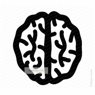 320x320 Free Brain Vector Png Image, Transparent Brain Vector Png Download