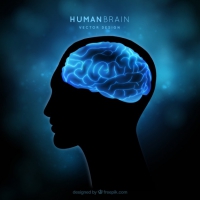200x200 Human Brain Free Vector Graphic Art Free Download