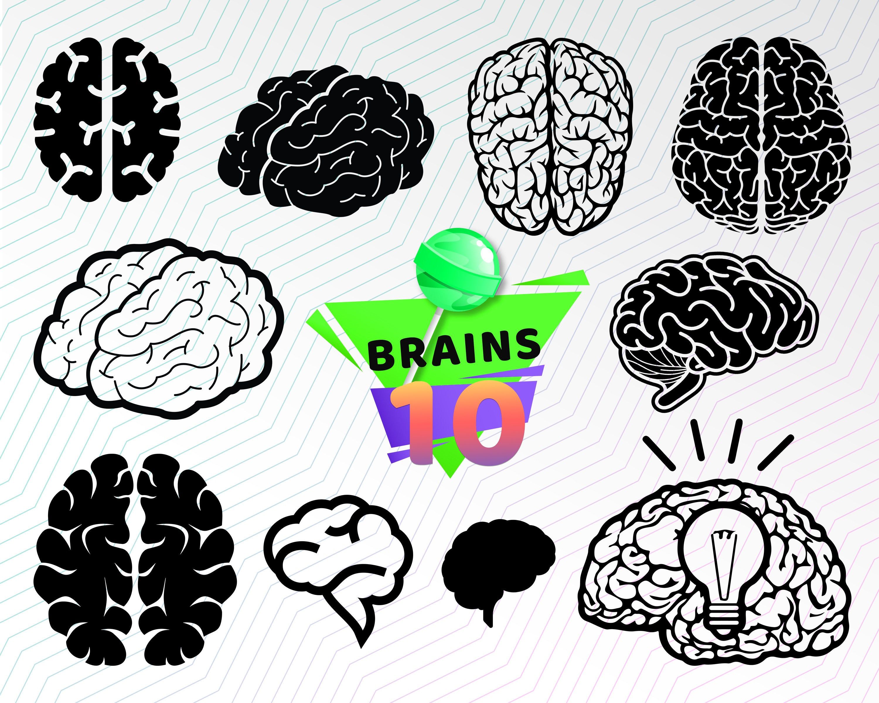 3000x2400 Bra, Human Bra, Brain Vector, Brain Silhouette, Mind