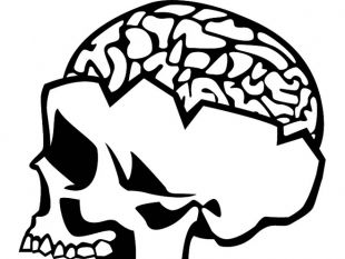 310x233 Skull With Brain Vector Free Vectors Ui Download