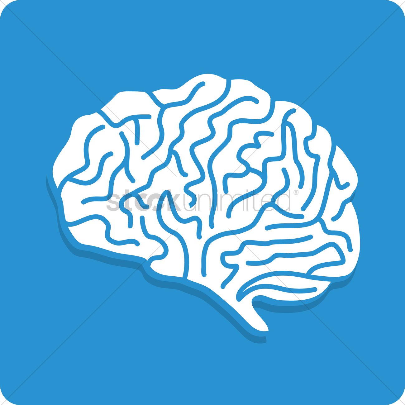1300x1300 Brain Vector Image